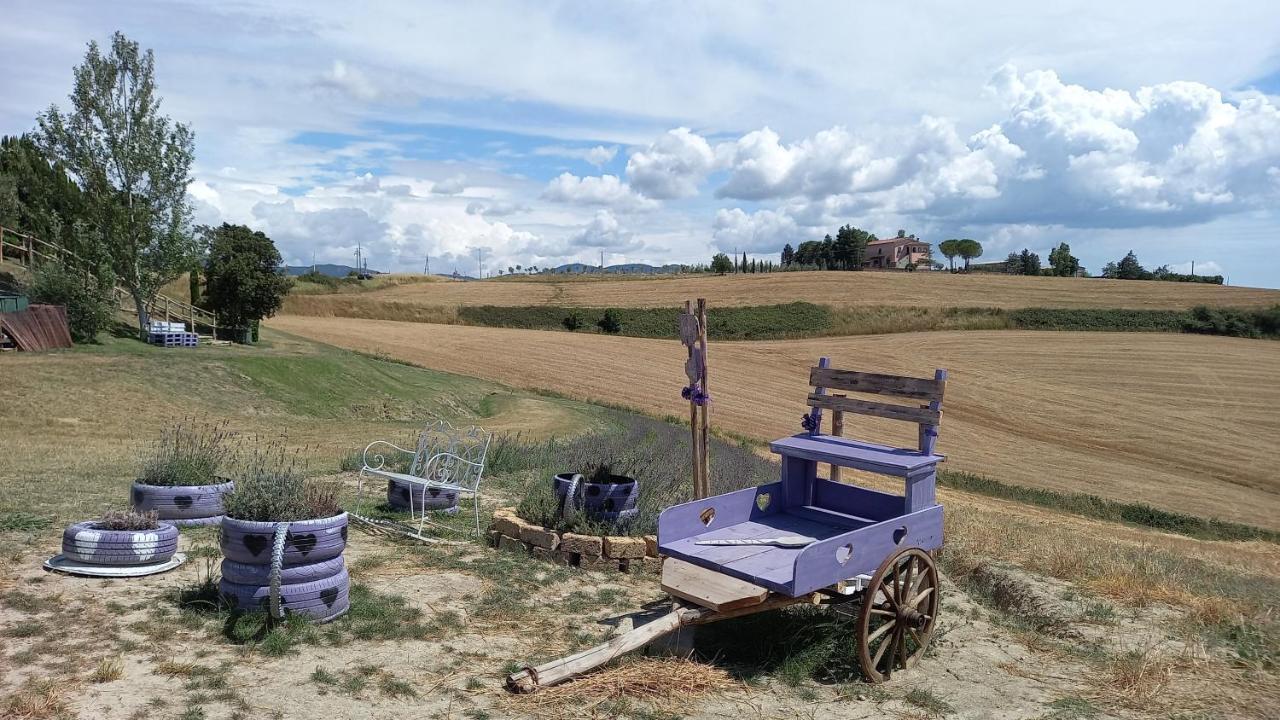 La Quiete Tra Le Vigne Tuscany Collesalvetti Exterior foto