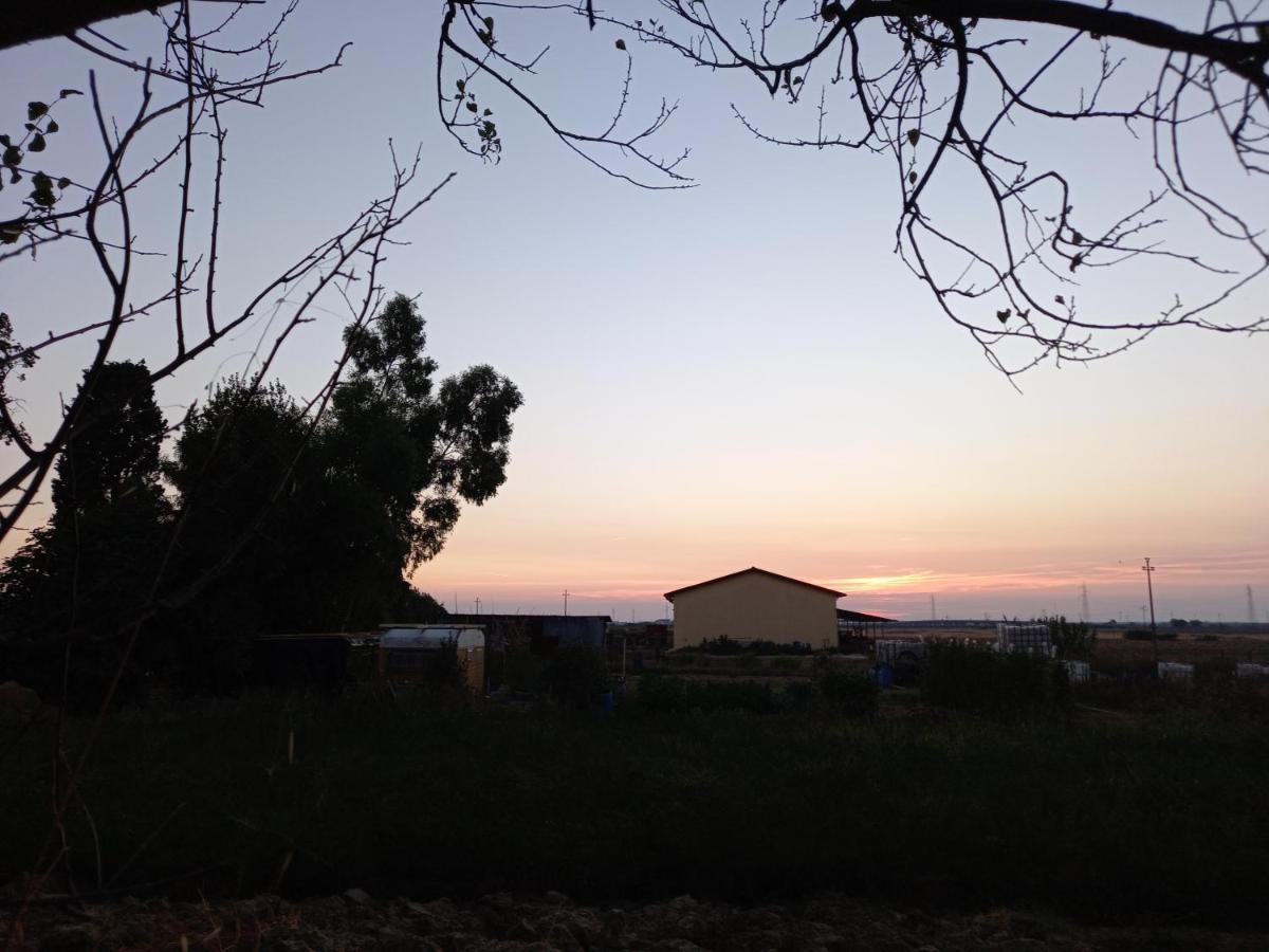 La Quiete Tra Le Vigne Tuscany Collesalvetti Exterior foto